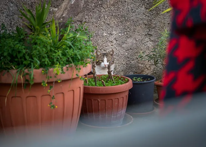 Da Nonna Pasqualina